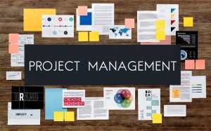Product Management | Project Management | Business Analyst | Business Data Intelligence